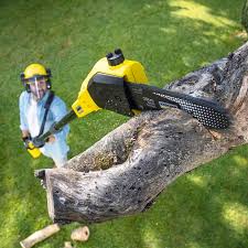 Best Landscape Design and Installation  in Blaine, WA